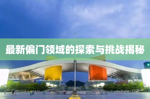 最新偏门领域的探索与挑战揭秘