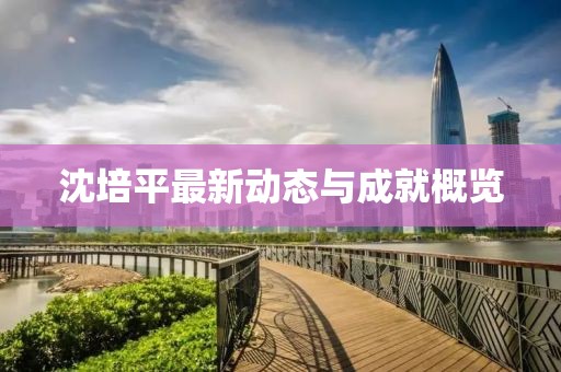 沈培平最新动态与成就概览
