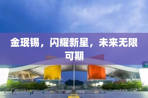金珉锡，闪耀新星，未来无限可期
