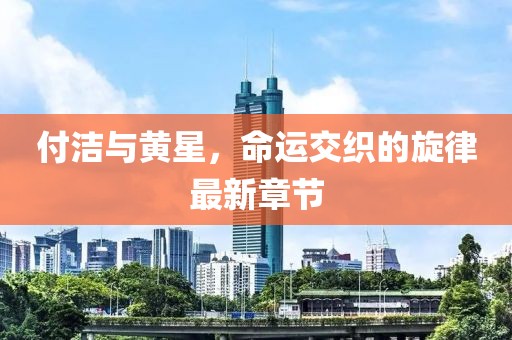 付洁与黄星，命运交织的旋律最新章节