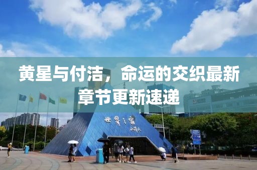 黄星与付洁，命运的交织最新章节更新速递