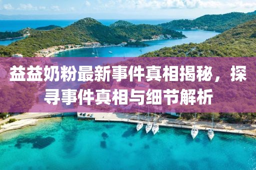 益益奶粉最新事件真相揭秘，探寻事件真相与细节解析