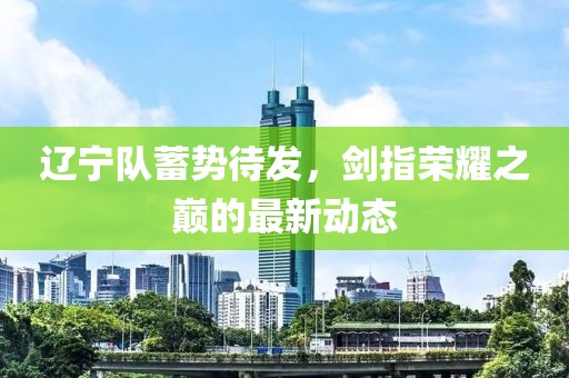 辽宁队蓄势待发，剑指荣耀之巅的最新动态