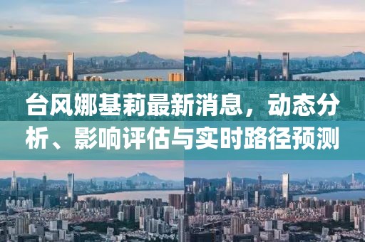 台风娜基莉最新消息，动态分析、影响评估与实时路径预测