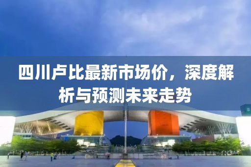 四川卢比最新市场价，深度解析与预测未来走势