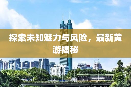 探索未知魅力与风险，最新黄游揭秘