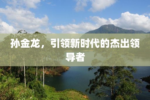 孙金龙，引领新时代的杰出领导者