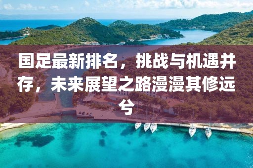 国足最新排名，挑战与机遇并存，未来展望之路漫漫其修远兮
