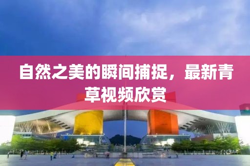 自然之美的瞬间捕捉，最新青草视频欣赏