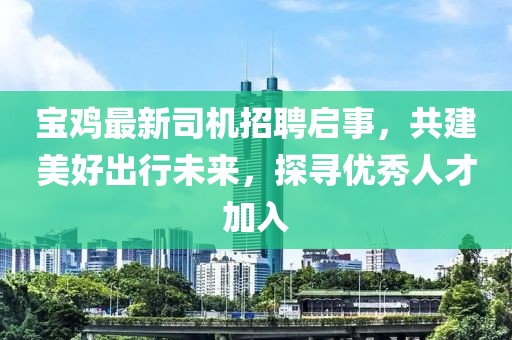 宝鸡最新司机招聘启事，共建美好出行未来，探寻优秀人才加入