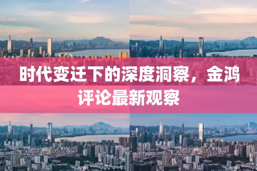 时代变迁下的深度洞察，金鸿评论最新观察