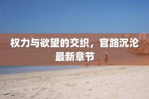 权力与欲望的交织，官路沉沦最新章节