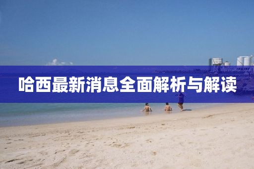 哈西最新消息全面解析与解读