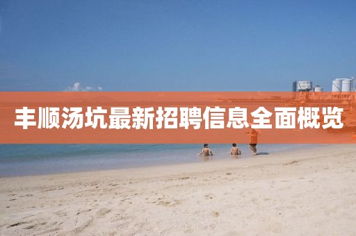 但许星辰月 第17页