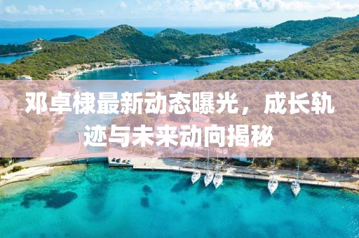 邓卓棣最新动态曝光，成长轨迹与未来动向揭秘
