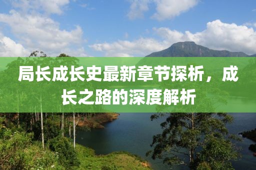 局长成长史最新章节探析，成长之路的深度解析