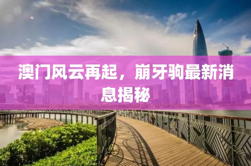澳门风云再起，崩牙驹最新消息揭秘