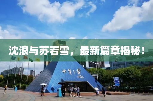 沈浪与苏若雪，最新篇章揭秘！