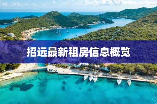 招远最新租房信息概览