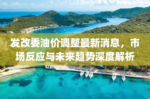 发改委油价调整最新消息，市场反应与未来趋势深度解析