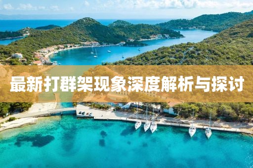 最新打群架现象深度解析与探讨