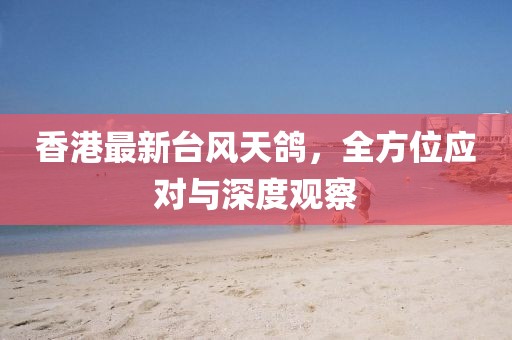 香港最新台风天鸽，全方位应对与深度观察