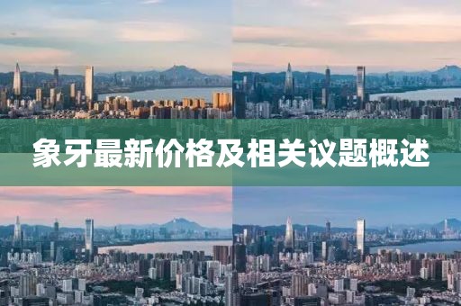 象牙最新价格及相关议题概述