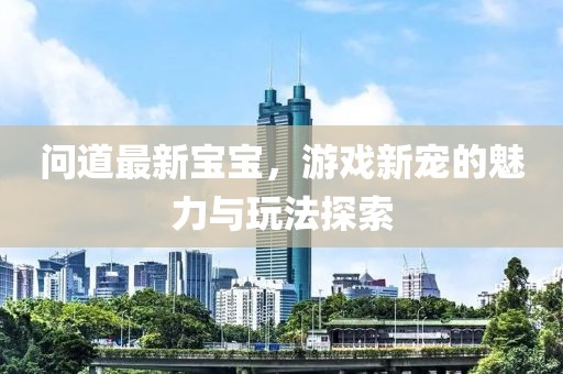 问道最新宝宝，游戏新宠的魅力与玩法探索