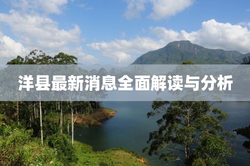 洋县最新消息全面解读与分析