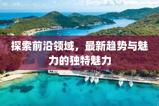 探索前沿领域，最新趋势与魅力的独特魅力