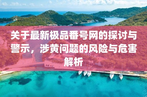 关于最新极品番号网的探讨与警示，涉黄问题的风险与危害解析
