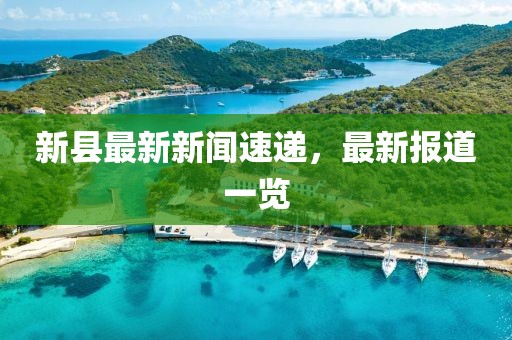 新县最新新闻速递，最新报道一览