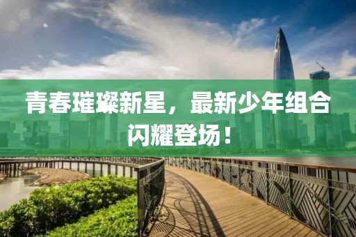 青春璀璨新星，最新少年组合闪耀登场！