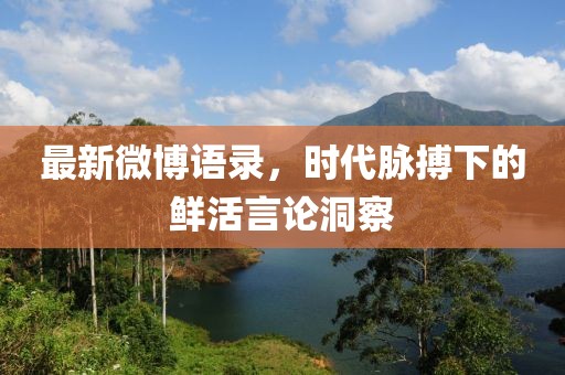 风中的歌声 第15页