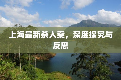 上海最新杀人案，深度探究与反思