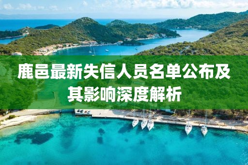 鹿邑最新失信人员名单公布及其影响深度解析