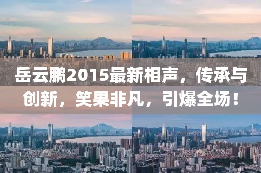 岳云鹏2015最新相声，传承与创新，笑果非凡，引爆全场！