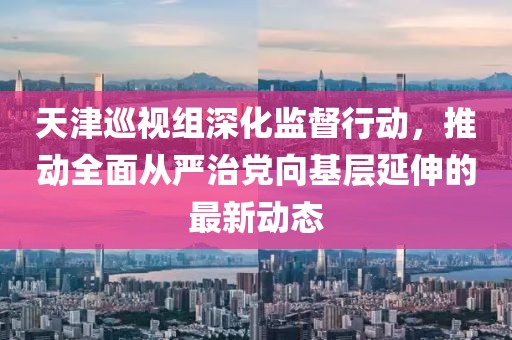 天津巡视组深化监督行动，推动全面从严治党向基层延伸的最新动态
