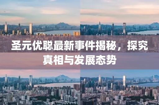 圣元优聪最新事件揭秘，探究真相与发展态势