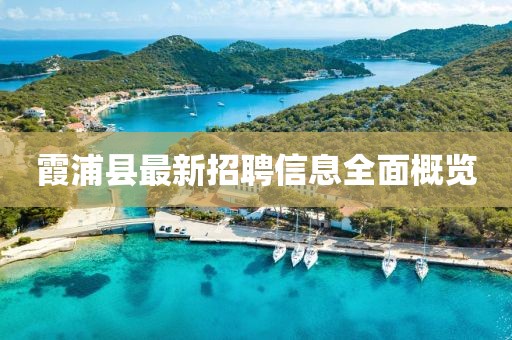 霞浦县最新招聘信息全面概览