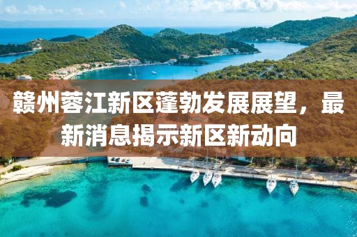 赣州蓉江新区蓬勃发展展望，最新消息揭示新区新动向