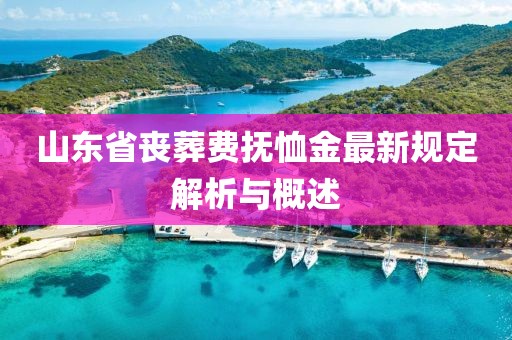 山东省丧葬费抚恤金最新规定解析与概述