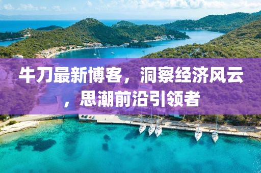 牛刀最新博客，洞察经济风云，思潮前沿引领者