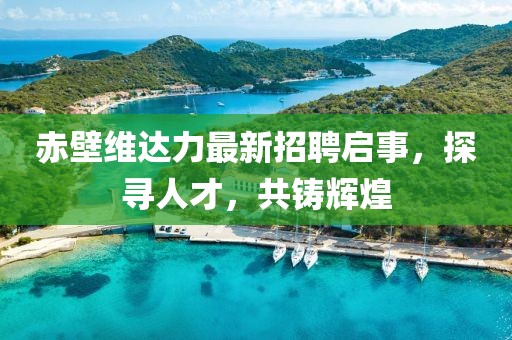 赤壁维达力最新招聘启事，探寻人才，共铸辉煌