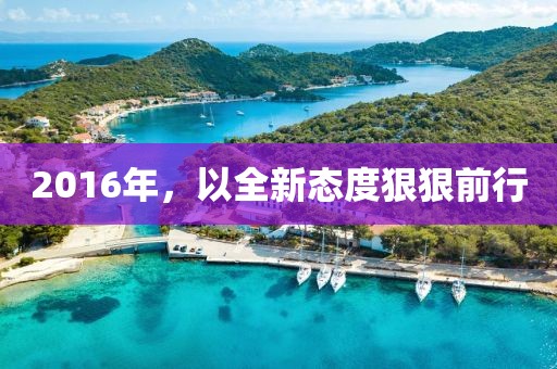 2016年，以全新态度狠狠前行