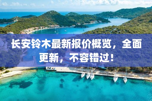长安铃木最新报价概览，全面更新，不容错过！