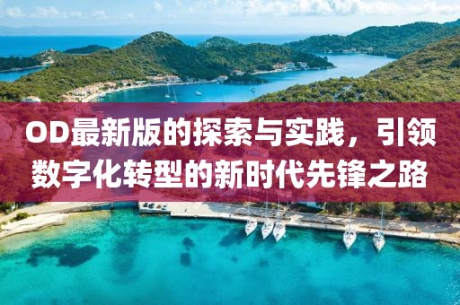 OD最新版的探索与实践，引领数字化转型的新时代先锋之路