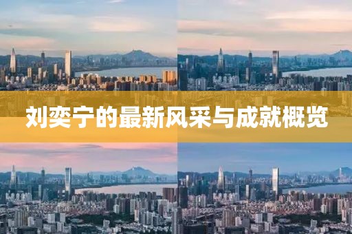 刘奕宁的最新风采与成就概览