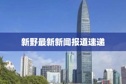 新野最新新闻报道速递