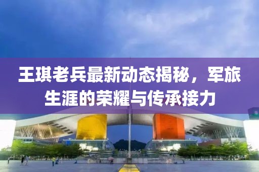 海上的孤盗 第13页